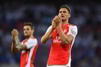 arsenal-fan arsenal-fan