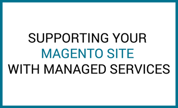 magento site support managed services