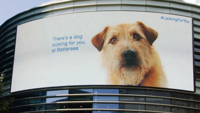 battersea-hed-2015